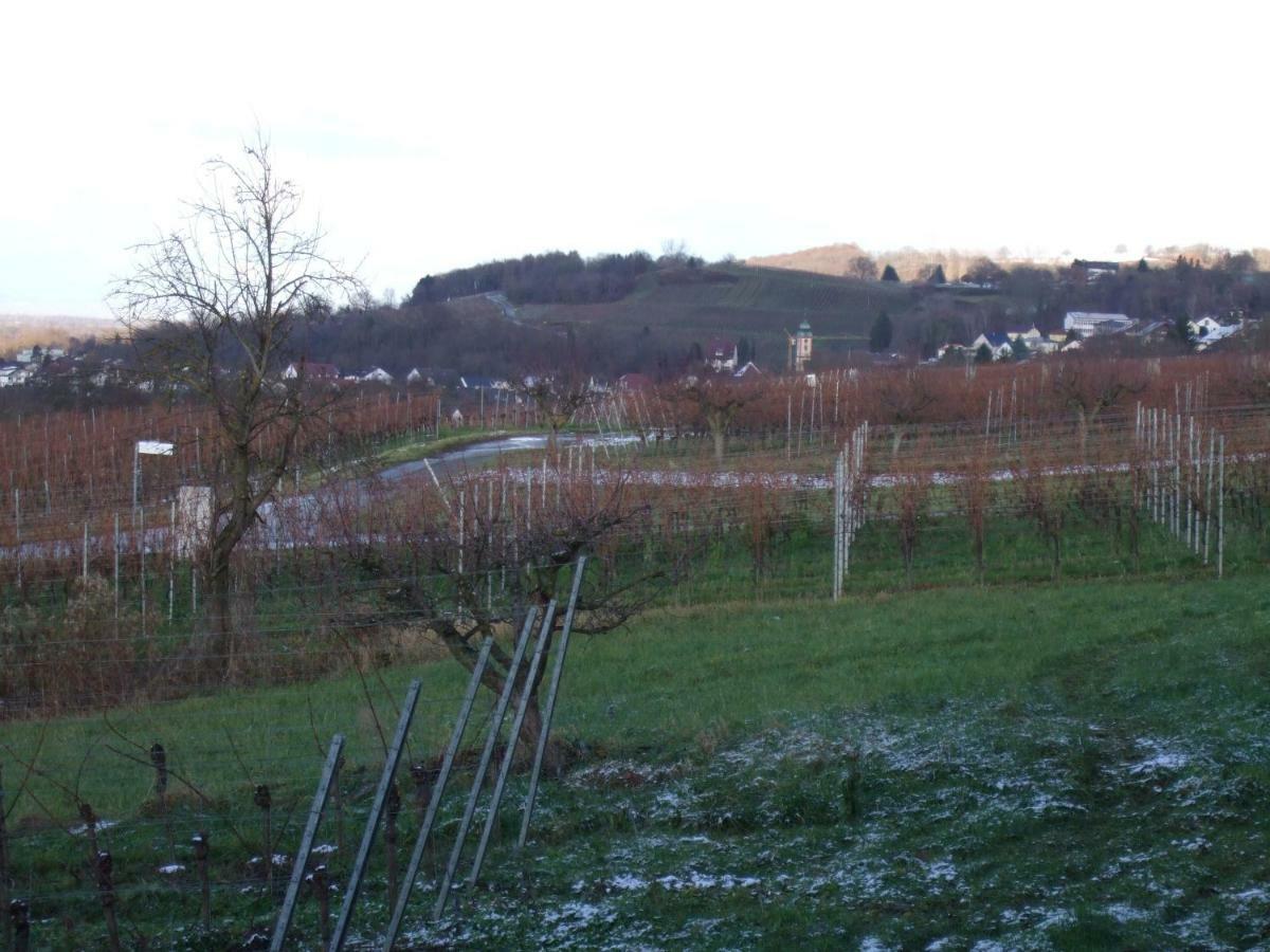 Ferienwohnung Rheinblick Bad Bellingen Kültér fotó