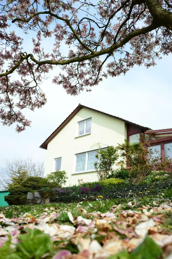 Ferienwohnung Rheinblick Bad Bellingen Kültér fotó