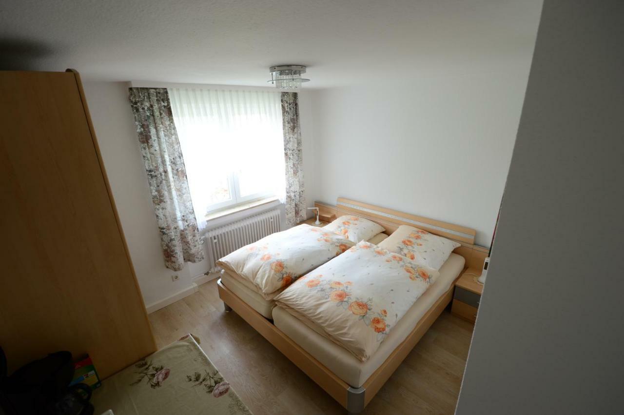 Ferienwohnung Rheinblick Bad Bellingen Kültér fotó