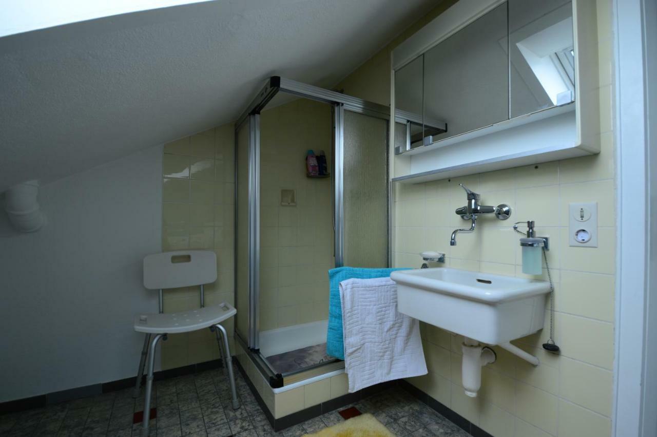 Ferienwohnung Rheinblick Bad Bellingen Kültér fotó